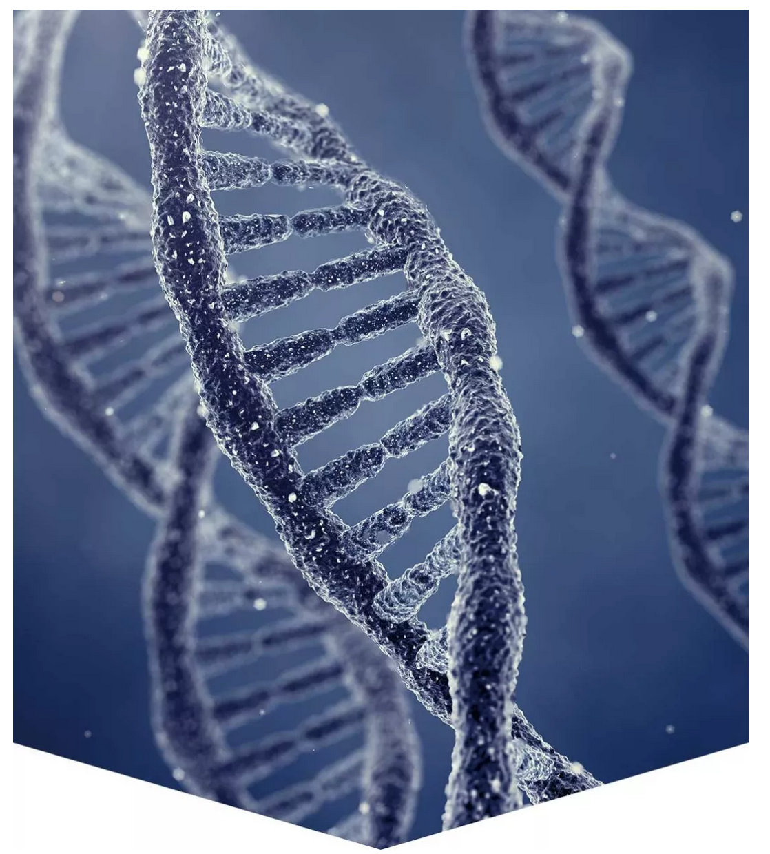 1573457136494748.png 屏幕快照 2019-11-11 下午3.24.28.png