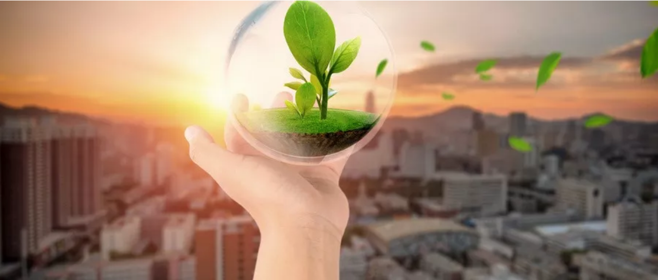 1573716396956676.png 屏幕快照 2019-11-14 下午3.26.21.png