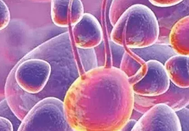 1574418546671643.png 屏幕快照 2019-11-22 下午6.28.50.png